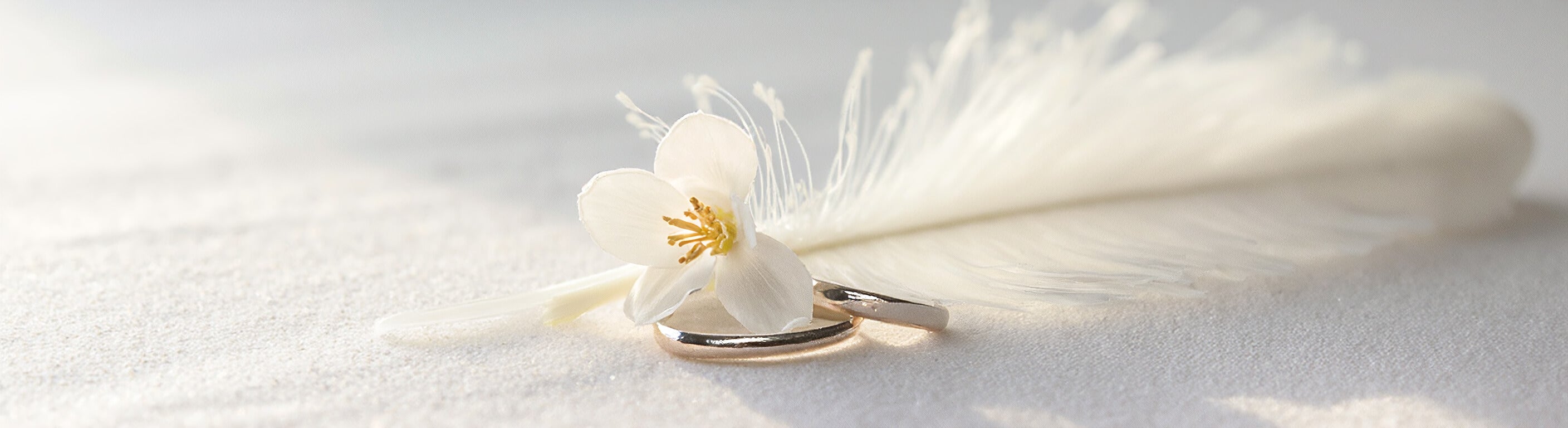 Lightweight silver rings rest beside a white flower and feather, evoking the softness and purity of our hypoallergenic jewellery for everyday wear or gifting.